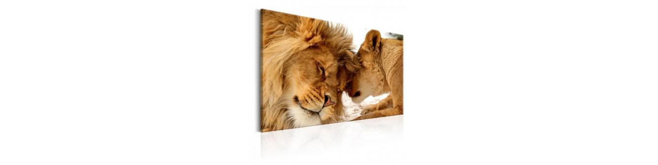 lionesses and lions in love