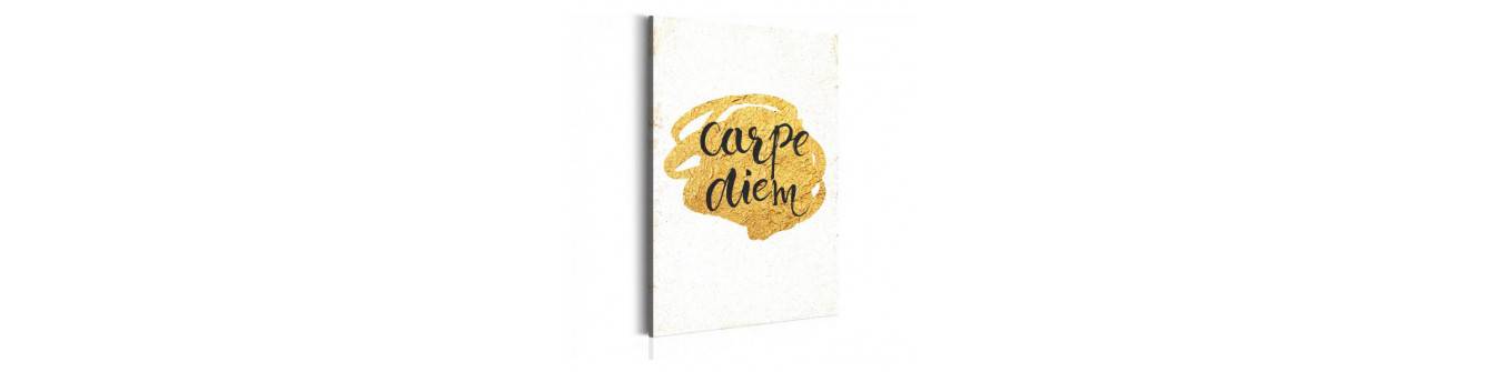 carpe diem - catch the moment