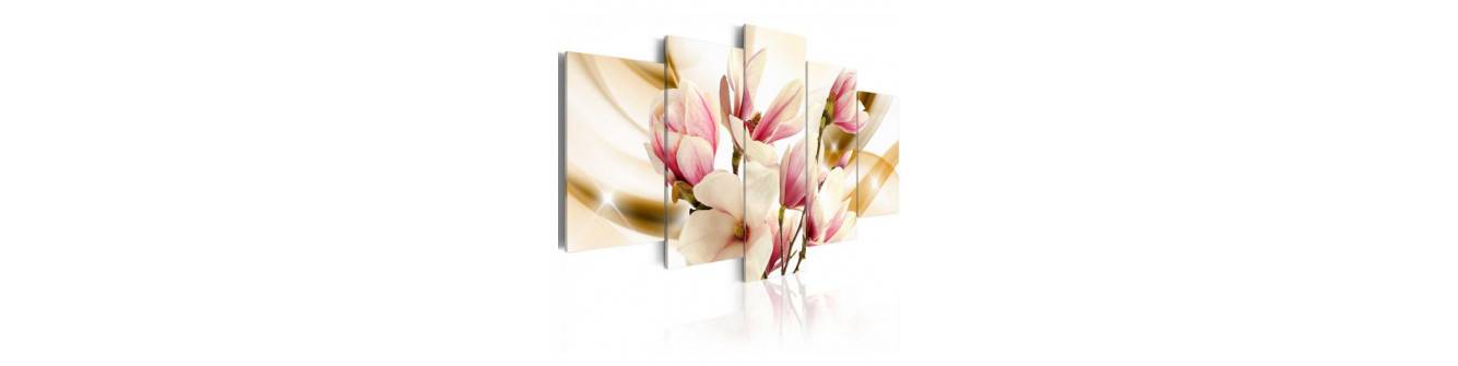 magnolia - diferite dimensiuni