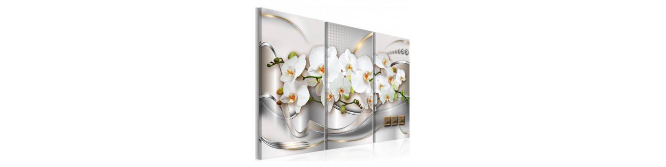 ornamentinės orchidėjos