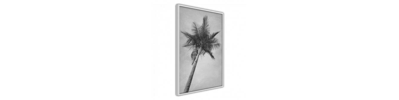 poster met palmen