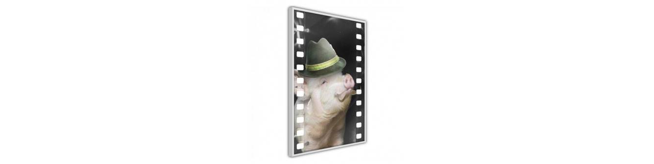 plakatas - kiaulės ir kiaulės vaikams