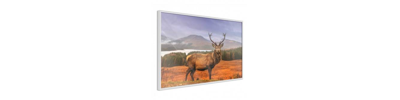 Poster con gli animali