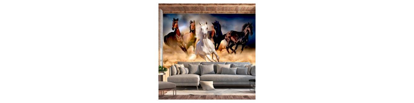 wall murals stickers - horses