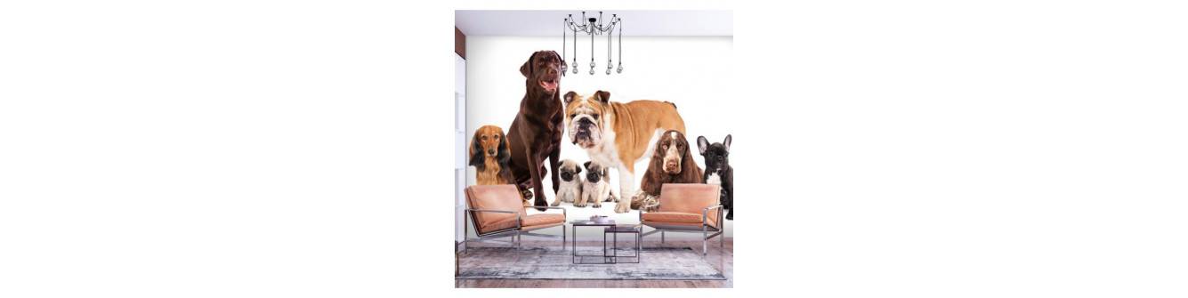 wall murals - dogs and kittens for children