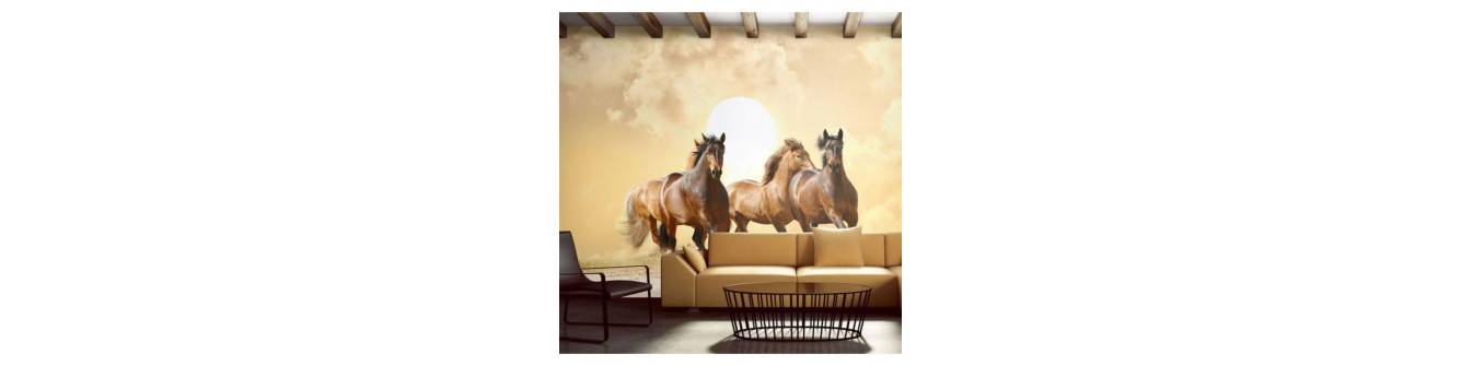 wall murals with horses