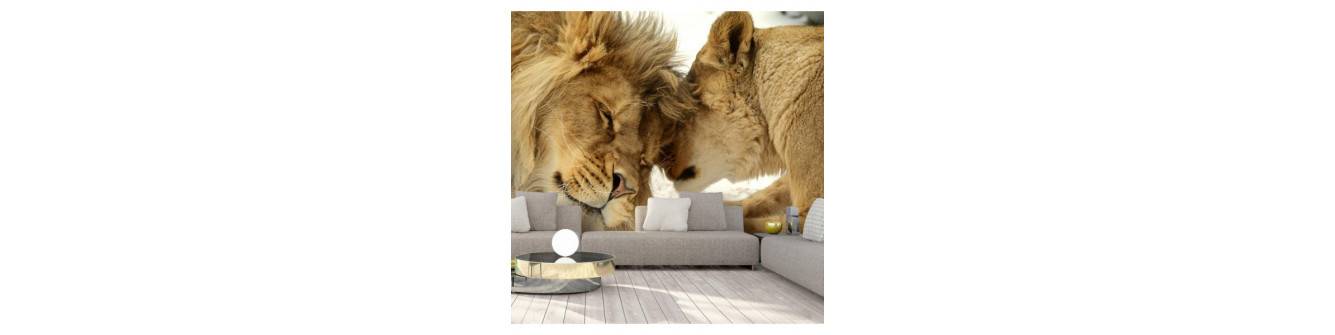 wall murals with lions and lionesses