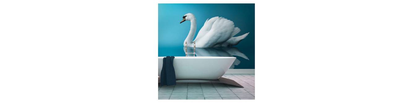 wall murals with swans