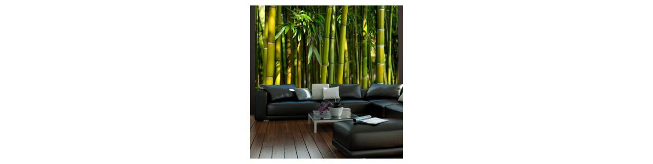 naturaleza - plantas de bambú
