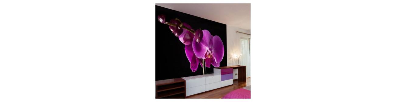 Fototapeten mit Orchideen