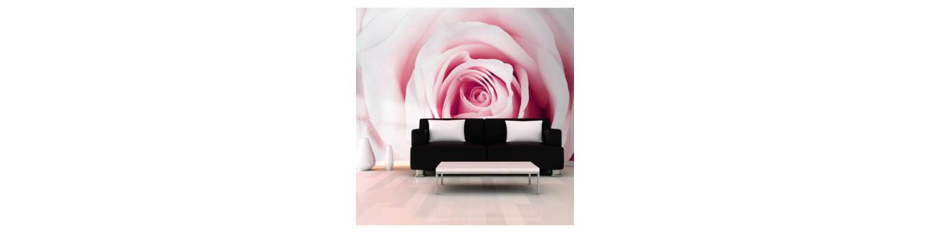 murales de fotos con una rosa