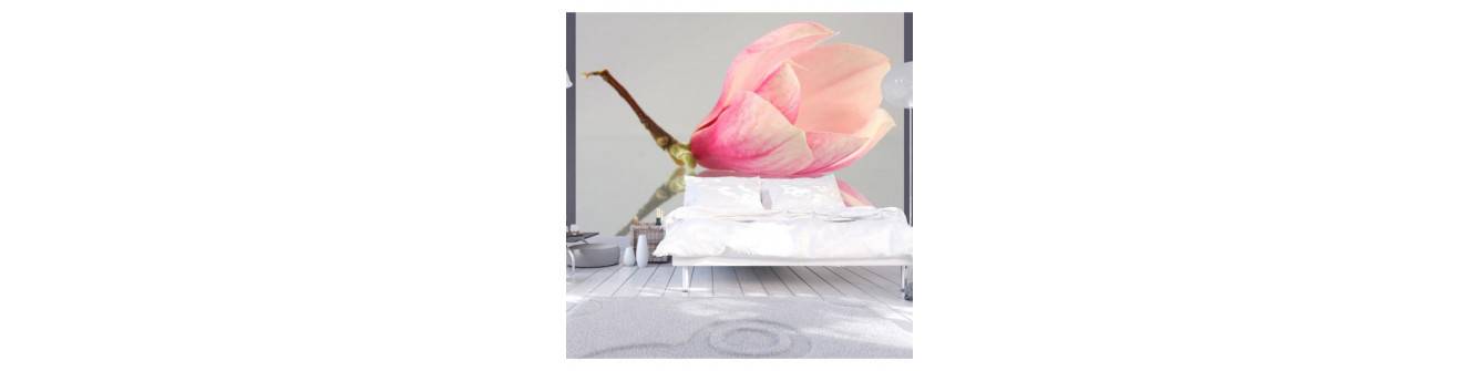 papiers peints photo avec des magnolias