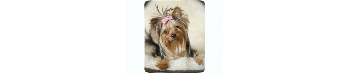 Coperte in pile. Morbide. Colorate. Resistenti. Alta qualità