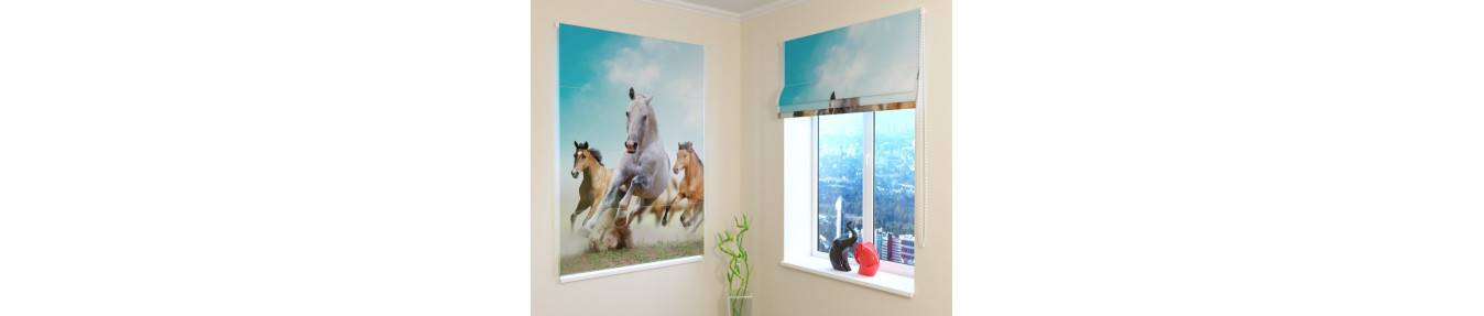 Roman blinds with horses. Classics. Blackouts. Fireproof