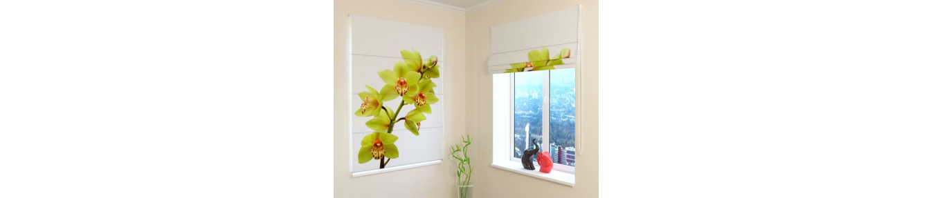 Roman blinds orchids. Classics. Blackouts. Fireproof
