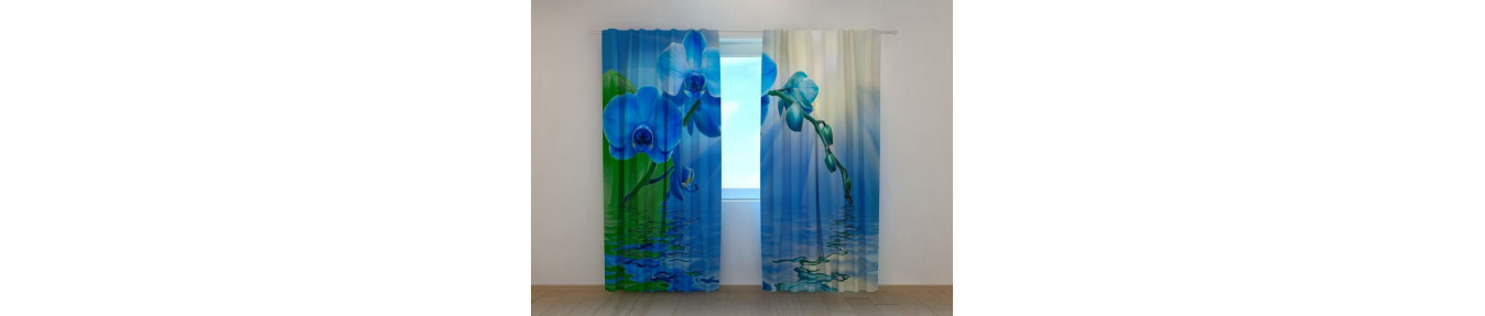 Trīsdimensiju, krāsainu telpu ar ūdeni un orhidejām