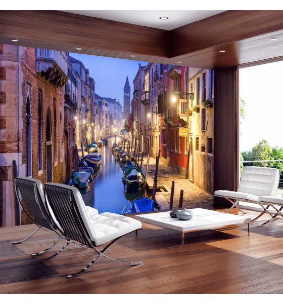 photo wall murals with Venice