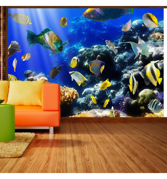 photo wallpaper stickers - fish and aquariums