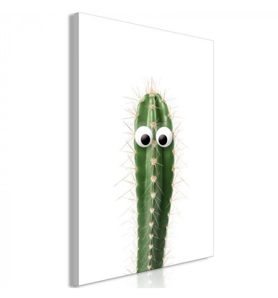 naturaleza - cactus