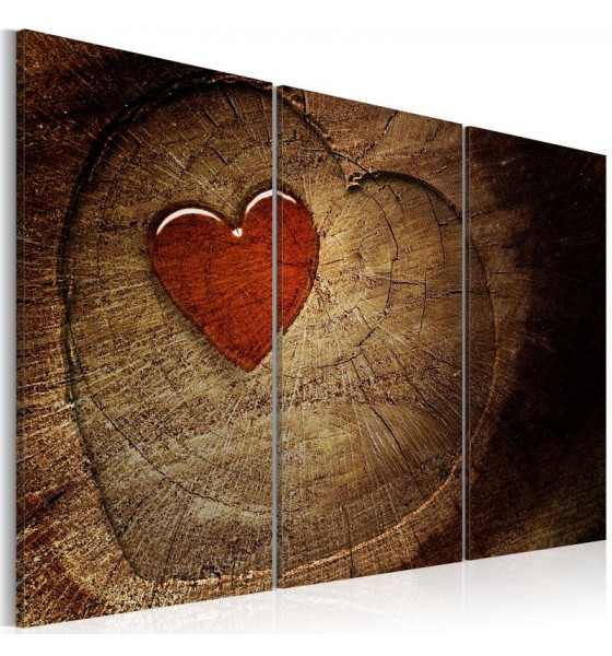cuori e legno