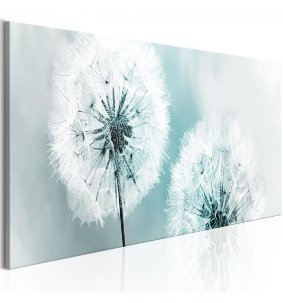 with dandelions - various sizes