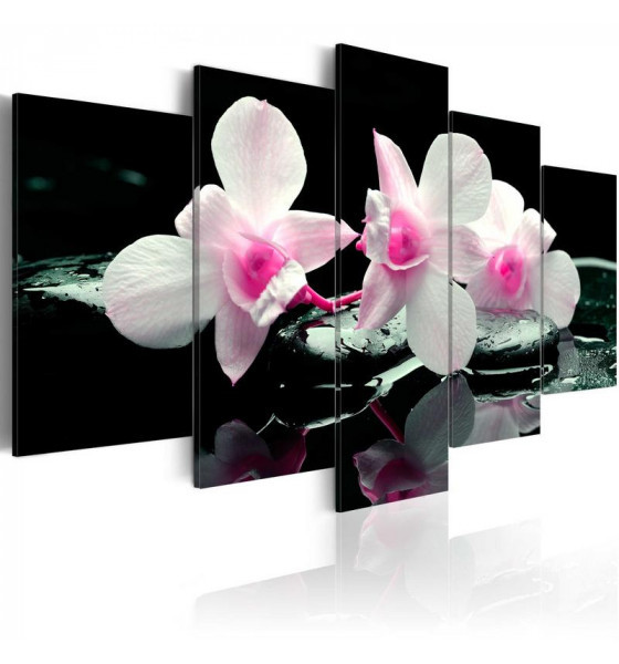 black stones with orchids
