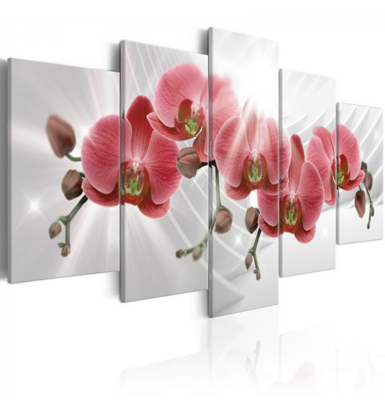 orchids cm. 100x50 and cm. 200x100