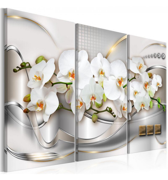 dekorative Orchideen