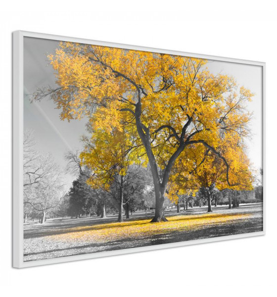 poster with yellow trees