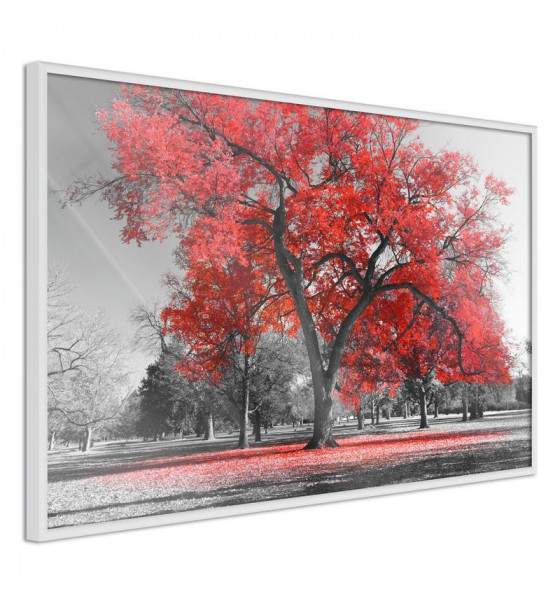poster with red trees