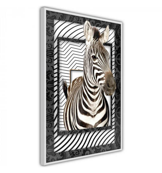 Plakat - Zebras