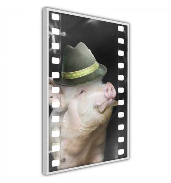 poster - pigs and piglets for children