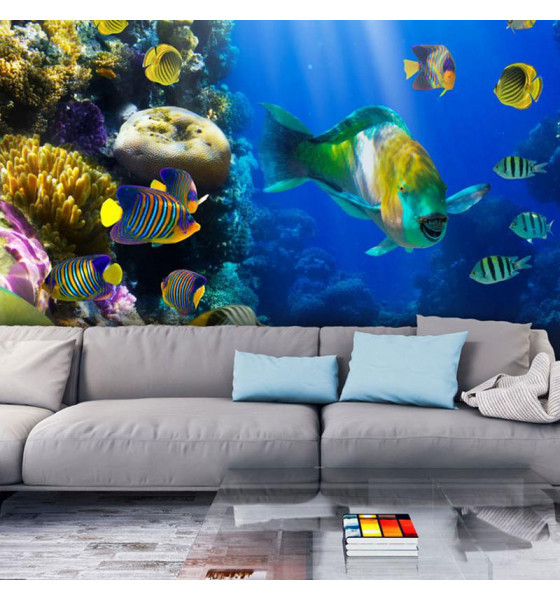 wall murals with fish and turtles