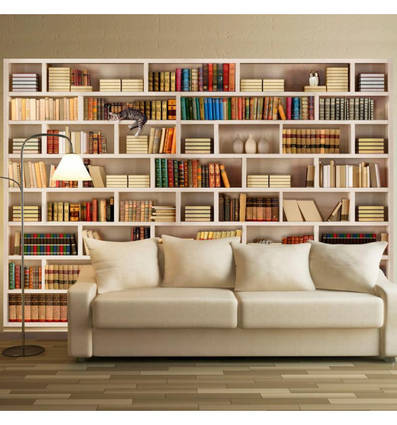 photomurals with bookcases and books
