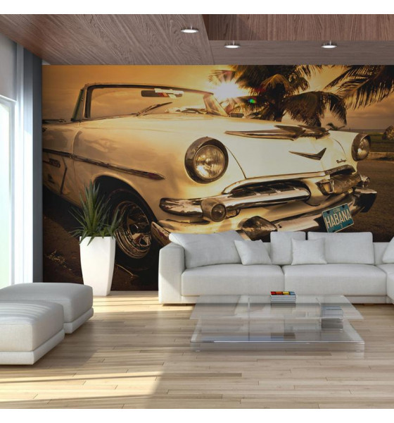 wall murals with vintage cars