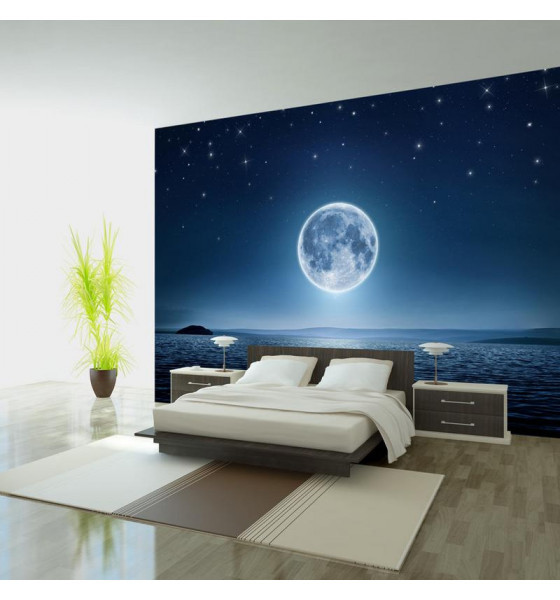 fotomurali con la luna