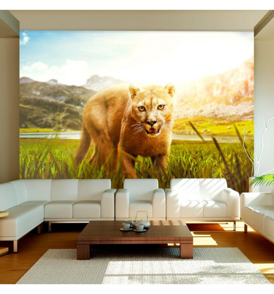 wall murals with jaguars and pumas