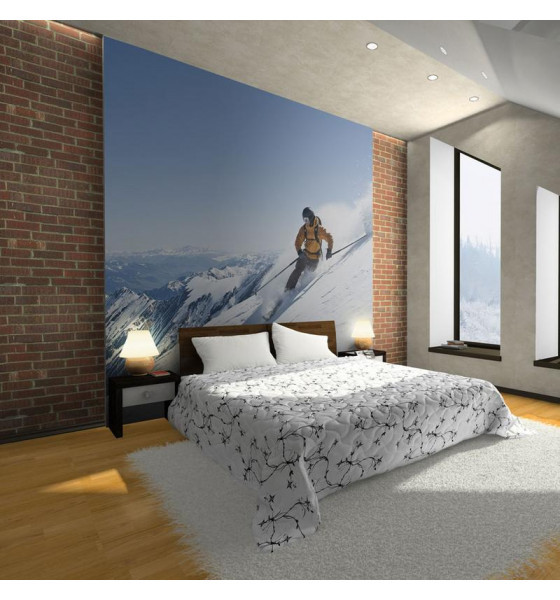 wall murals for skiers