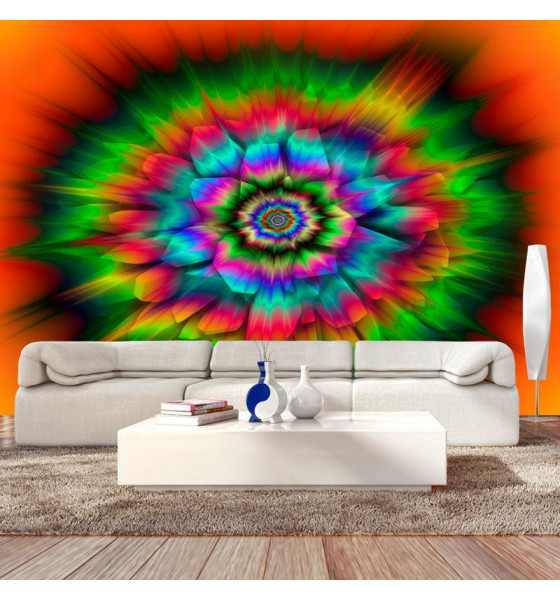 colorful and abstract wall murals