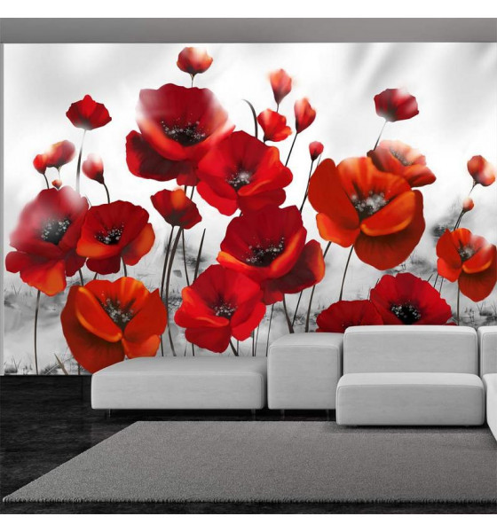 photo wall murals with poppies