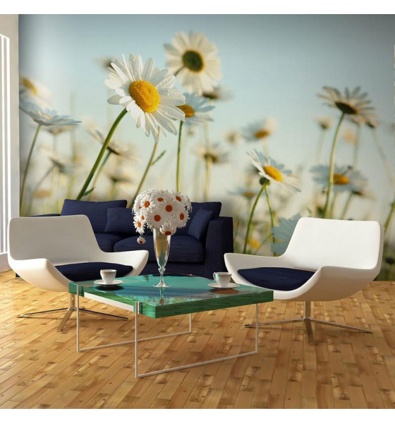 photo wall murals with daisies