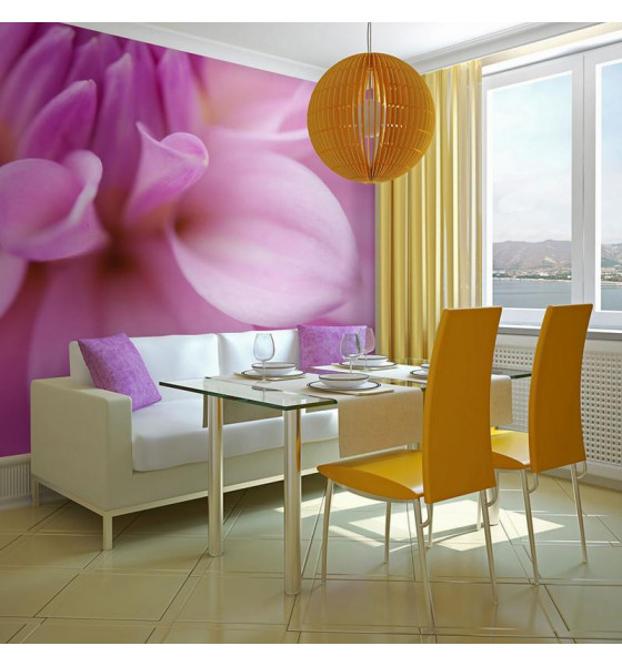 photo wall murals with dahlia flowers
