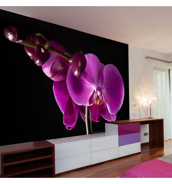 photo wall murals with orchids