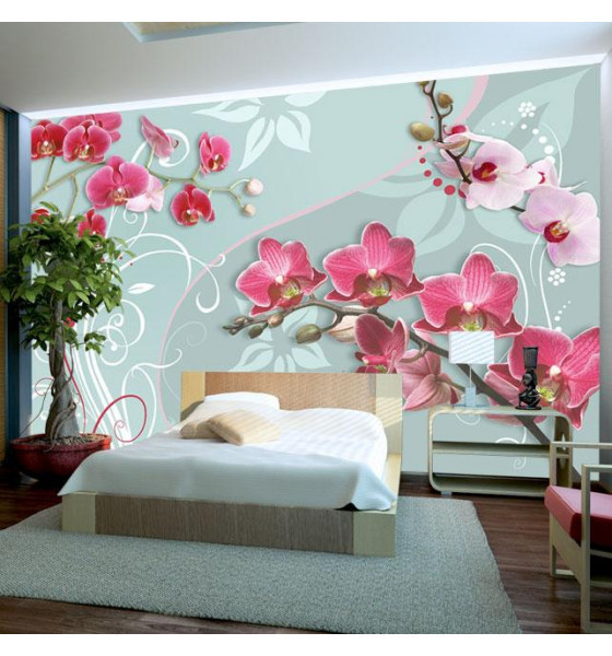 orchidee sul ramo
