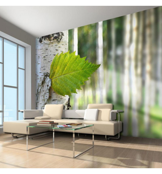 murais de parede de fotos com folhas verdes