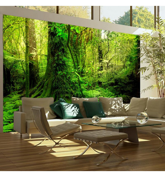 fotomurali con gli alberi della foresta