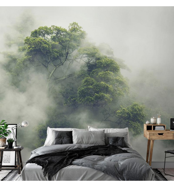 boschi e foreste nella nebbia
