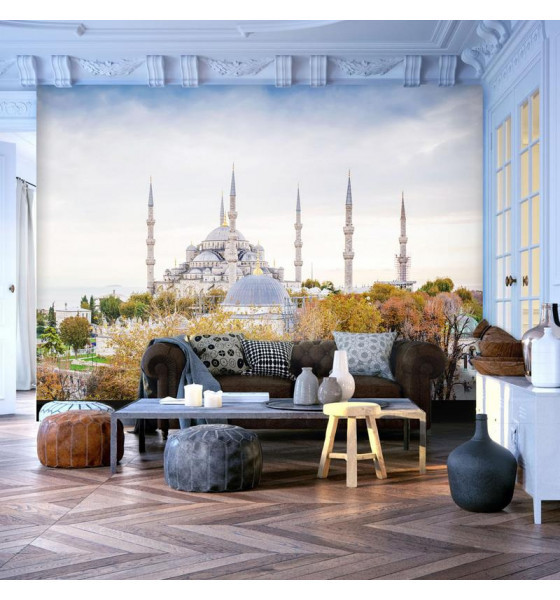 photo wall murals with Istanbul - Turkey