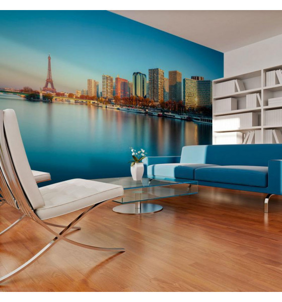 photo wall murals with Paris