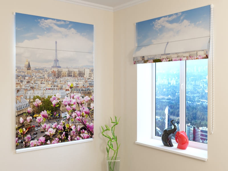 roman blinds - with Paris